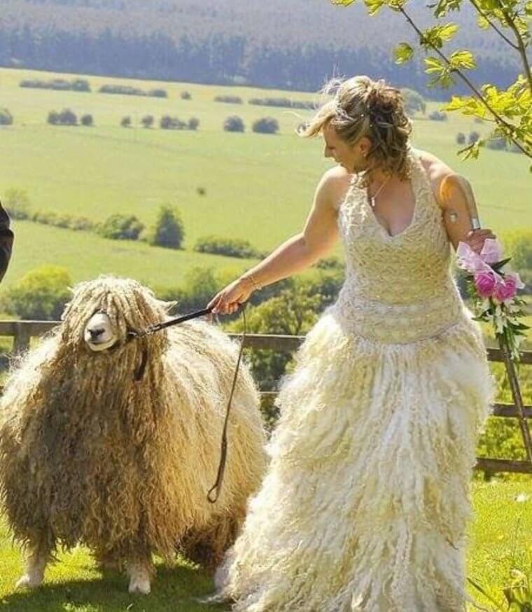 This Bride's About to Promise She "wool" Always Love Her Groom